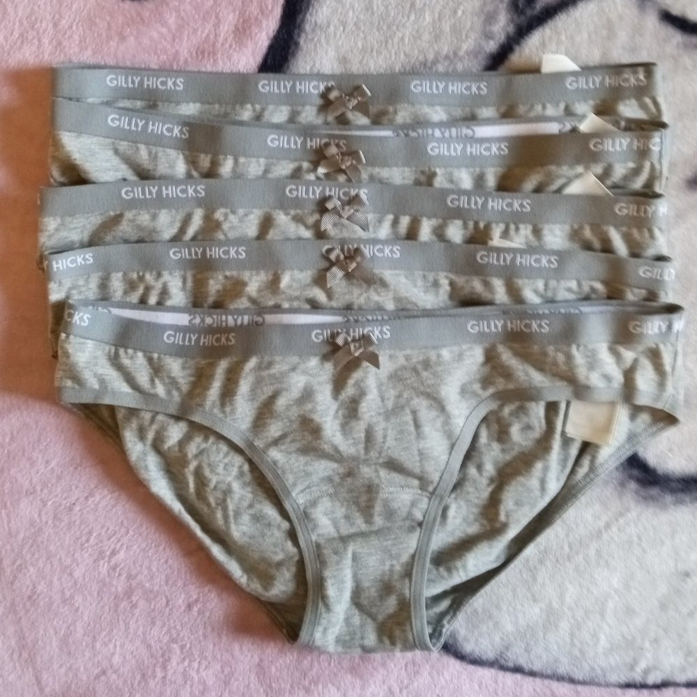 NEW GILLY HICKS Down Undies (Bikini Style)
